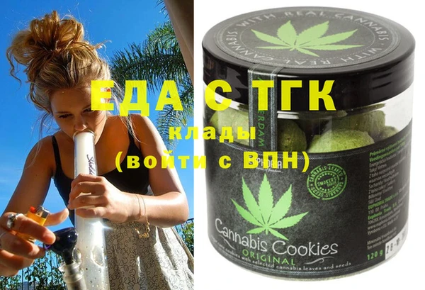 индика Нея