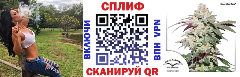 Конопля OG Kush  МЕГА маркетплейс  маркетплейс телеграм  Щёлково 